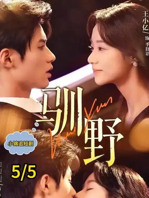 草莓视频免费 候鸟公寓 剧照